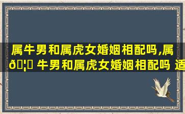 属牛男和属虎女婚姻相配吗,属 🦈 牛男和属虎女婚姻相配吗 适合 🦉 吗